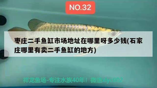 棗莊二手魚缸市場地址在哪里呀多少錢(石家莊哪里有賣二手魚缸的地方) 觀賞魚進(jìn)出口