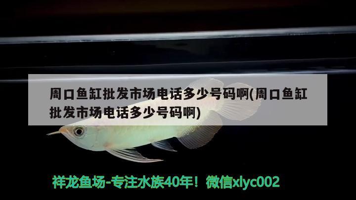 周口魚缸批發(fā)市場電話多少號碼啊(周口魚缸批發(fā)市場電話多少號碼啊)