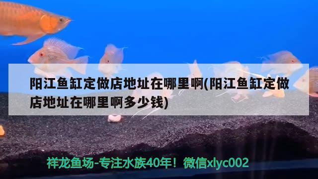 陽江魚缸定做店地址在哪里啊(陽江魚缸定做店地址在哪里啊多少錢) 水族世界