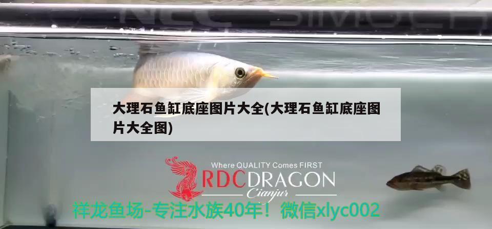 大理石魚(yú)缸底座圖片大全(大理石魚(yú)缸底座圖片大全圖)