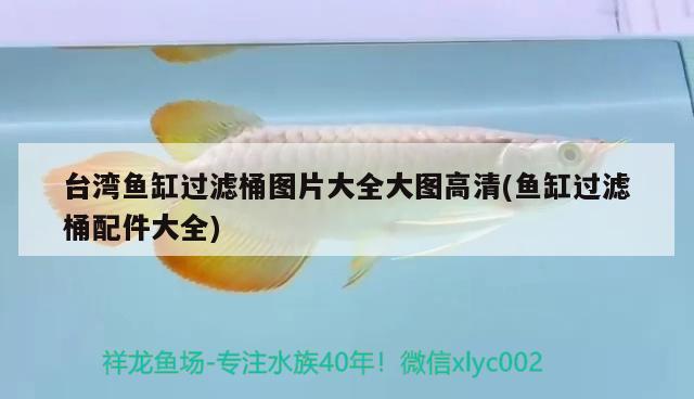 臺(tái)灣魚缸過濾桶圖片大全大圖高清(魚缸過濾桶配件大全)