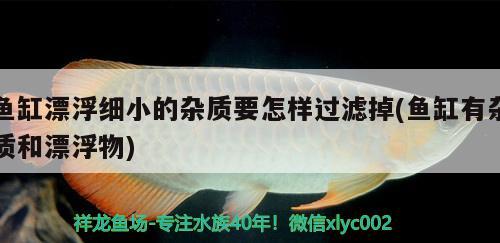 魚(yú)缸漂浮細(xì)小的雜質(zhì)要怎樣過(guò)濾掉(魚(yú)缸有雜質(zhì)和漂浮物) 赤荔鳳冠魚(yú)