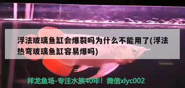 浮法玻璃魚缸會爆裂嗎為什么不能用了(浮法熱彎玻璃魚缸容易爆嗎)