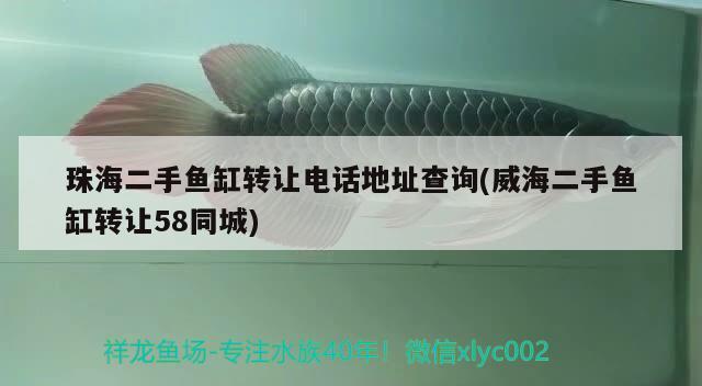 珠海二手魚缸轉讓電話地址查詢(威海二手魚缸轉讓58同城)