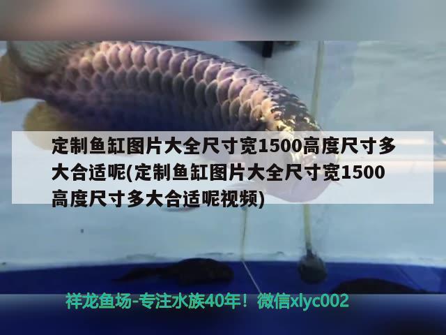 定制魚缸圖片大全尺寸寬1500高度尺寸多大合適呢(定制魚缸圖片大全尺寸寬1500高度尺寸多大合適呢視頻) 銀龍魚百科