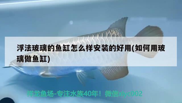 浮法玻璃的魚缸怎么樣安裝的好用(如何用玻璃做魚缸)