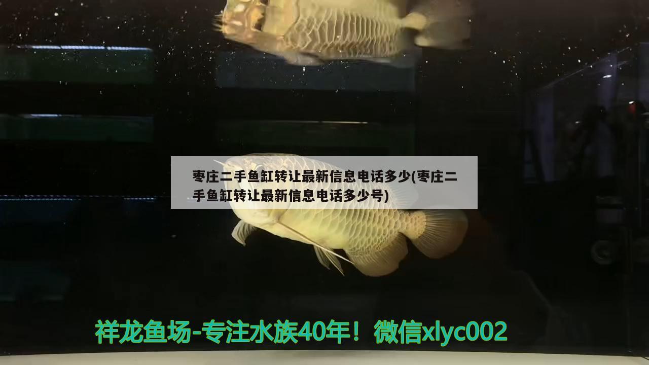 棗莊二手魚缸轉讓最新信息電話多少(棗莊二手魚缸轉讓最新信息電話多少號) 除藻劑