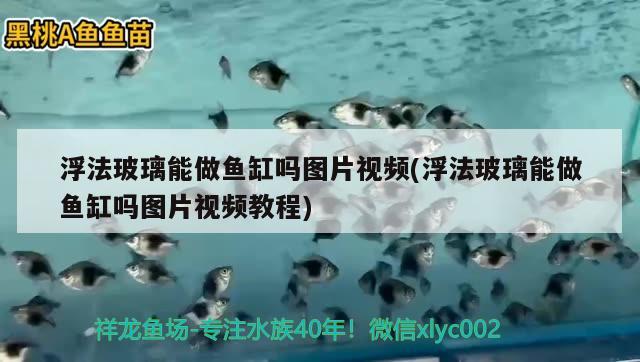 浮法玻璃能做魚缸嗎圖片視頻(浮法玻璃能做魚缸嗎圖片視頻教程) 超血紅龍魚