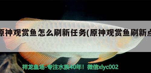 原神觀賞魚怎么刷新任務(原神觀賞魚刷新點) 海水魚（海水魚批發(fā)）