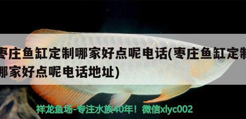 棗莊魚缸定制哪家好點(diǎn)呢電話(棗莊魚缸定制哪家好點(diǎn)呢電話地址) 觀賞魚魚苗