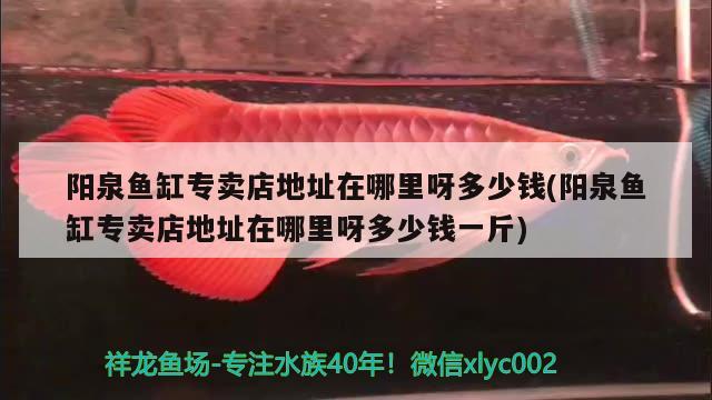 陽(yáng)泉魚缸專賣店地址在哪里呀多少錢(陽(yáng)泉魚缸專賣店地址在哪里呀多少錢一斤) 養(yǎng)魚知識(shí)