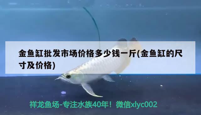 金魚缸批發(fā)市場價格多少錢一斤(金魚缸的尺寸及價格) 觀賞魚