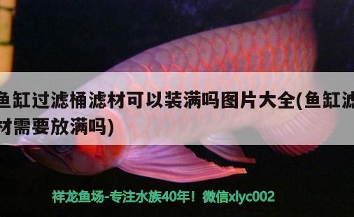 魚(yú)缸過(guò)濾桶濾材可以裝滿嗎圖片大全(魚(yú)缸濾材需要放滿嗎)