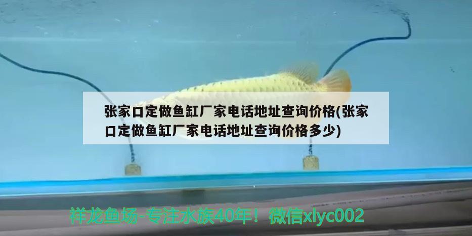 張家口定做魚缸廠家電話地址查詢價格(張家口定做魚缸廠家電話地址查詢價格多少)