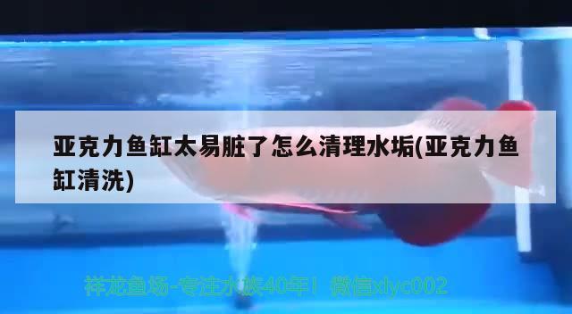 亞克力魚缸太易臟了怎么清理水垢(亞克力魚缸清洗)