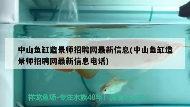 中山魚缸造景師招聘網最新信息(中山魚缸造景師招聘網最新信息電話) 名貴錦鯉魚