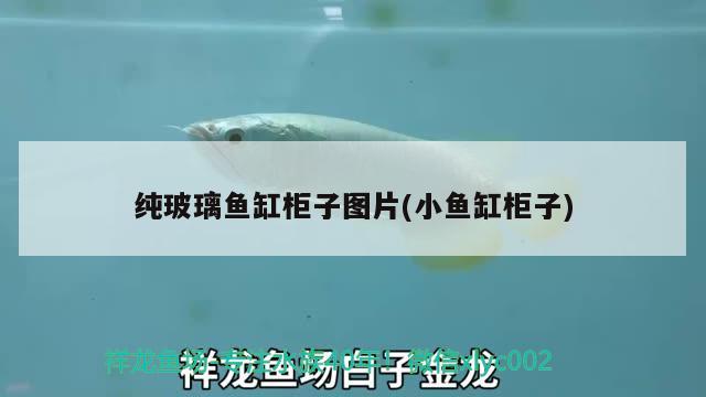 純玻璃魚缸柜子圖片(小魚缸柜子)