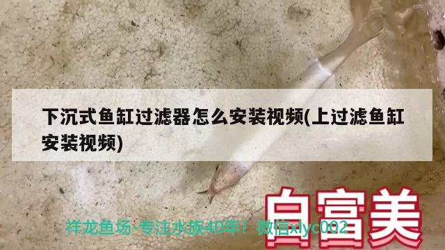 下沉式魚缸過濾器怎么安裝視頻(上過濾魚缸安裝視頻) 錦鯉池魚池建設(shè)