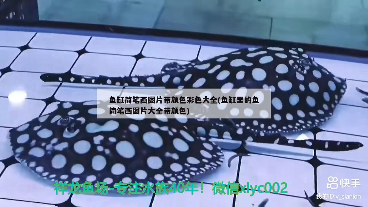 魚缸簡筆畫圖片帶顏色彩色大全(魚缸里的魚簡筆畫圖片大全帶顏色)