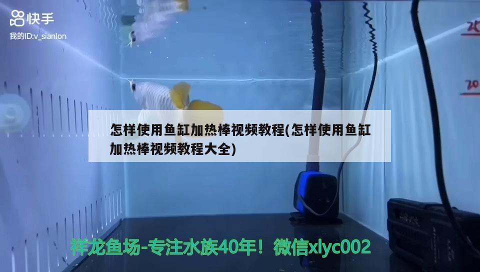 怎樣使用魚(yú)缸加熱棒視頻教程(怎樣使用魚(yú)缸加熱棒視頻教程大全)