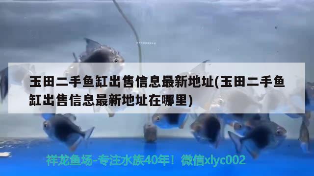 玉田二手魚缸出售信息最新地址(玉田二手魚缸出售信息最新地址在哪里) 女王大帆魚苗