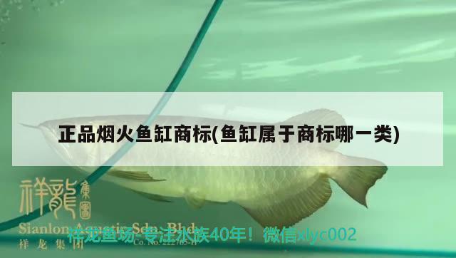 正品煙火魚缸商標(biāo)(魚缸屬于商標(biāo)哪一類)