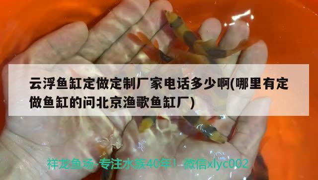 云浮魚缸定做定制廠家電話多少啊(哪里有定做魚缸的問北京漁歌魚缸廠)