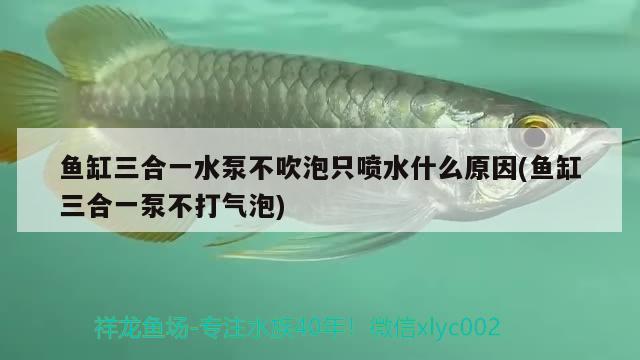 魚缸三合一水泵不吹泡只噴水什么原因(魚缸三合一泵不打氣泡) 三色錦鯉魚