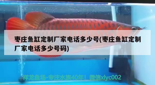 棗莊魚缸定制廠家電話多少號(棗莊魚缸定制廠家電話多少號碼)