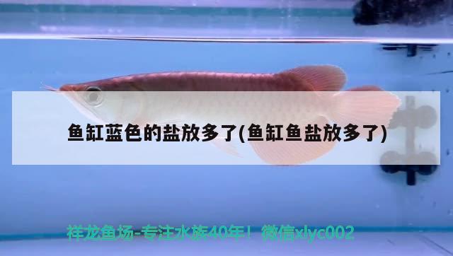 魚(yú)缸藍(lán)色的鹽放多了(魚(yú)缸魚(yú)鹽放多了)