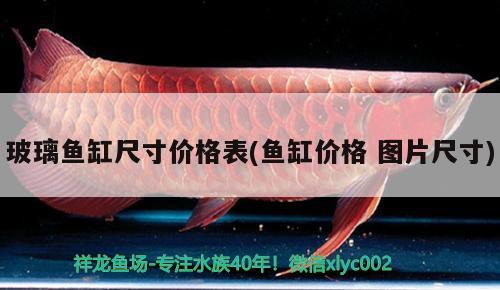 玻璃魚(yú)缸尺寸價(jià)格表(魚(yú)缸價(jià)格圖片尺寸)