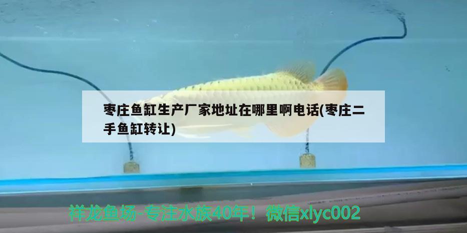 棗莊魚缸生產(chǎn)廠家地址在哪里啊電話(棗莊二手魚缸轉讓) 月光鴨嘴魚