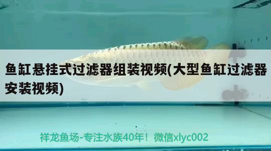 魚(yú)缸懸掛式過(guò)濾器組裝視頻(大型魚(yú)缸過(guò)濾器安裝視頻) 白化火箭