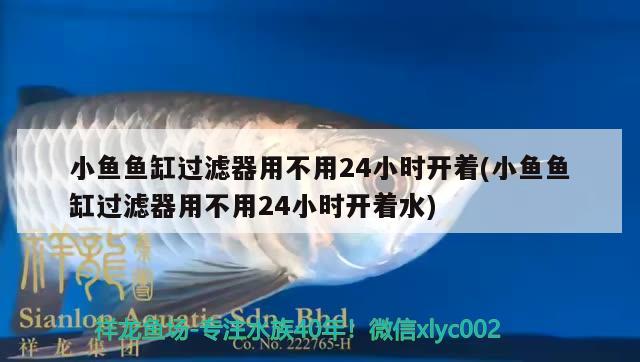 小魚(yú)魚(yú)缸過(guò)濾器用不用24小時(shí)開(kāi)著(小魚(yú)魚(yú)缸過(guò)濾器用不用24小時(shí)開(kāi)著水)