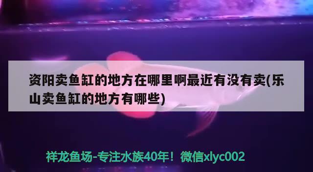 資陽(yáng)賣魚缸的地方在哪里啊最近有沒(méi)有賣(樂(lè)山賣魚缸的地方有哪些)