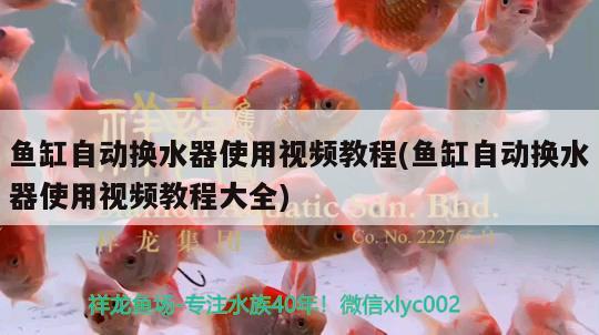 魚缸自動換水器使用視頻教程(魚缸自動換水器使用視頻教程大全) 巴卡雷龍魚