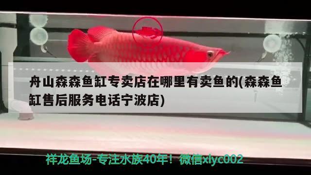 舟山森森魚缸專賣店在哪里有賣魚的(森森魚缸售后服務(wù)電話寧波店)