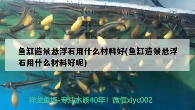 魚缸造景懸浮石用什么材料好(魚缸造景懸浮石用什么材料好呢)