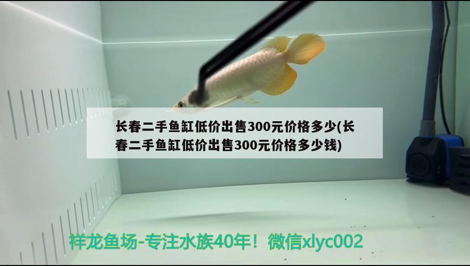 長春二手魚缸低價(jià)出售300元價(jià)格多少(長春二手魚缸低價(jià)出售300元價(jià)格多少錢)