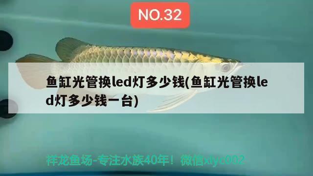 魚缸光管換led燈多少錢(魚缸光管換led燈多少錢一臺) 斑馬鴨嘴魚苗 第2張