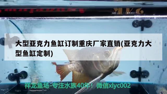 大型亞克力魚缸訂制重慶廠家直銷(亞克力大型魚缸定制) 虎魚百科