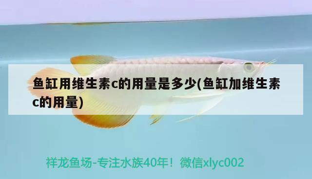 魚(yú)缸用維生素c的用量是多少(魚(yú)缸加維生素c的用量) 祥龍魚(yú)場(chǎng)