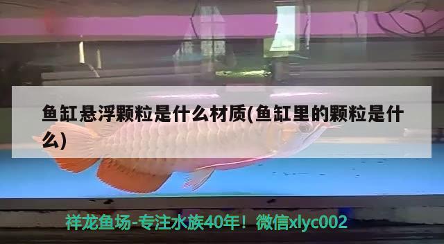 魚缸懸浮顆粒是什么材質(zhì)(魚缸里的顆粒是什么) 虎魚百科