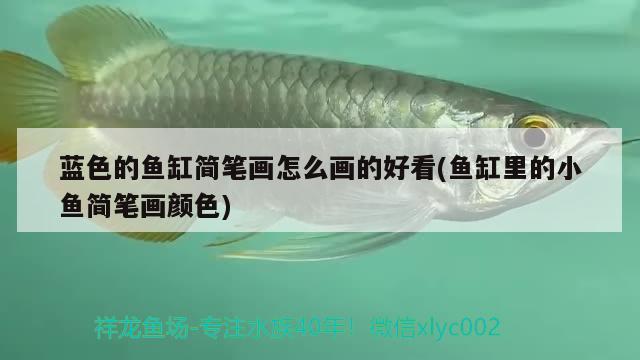 藍(lán)色的魚(yú)缸簡(jiǎn)筆畫(huà)怎么畫(huà)的好看(魚(yú)缸里的小魚(yú)簡(jiǎn)筆畫(huà)顏色)