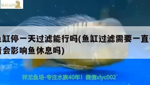 魚缸停一天過濾能行嗎(魚缸過濾需要一直開著會影響魚休息嗎)