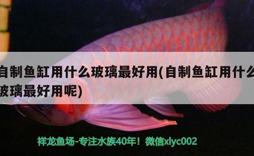 自制魚缸用什么玻璃最好用(自制魚缸用什么玻璃最好用呢)