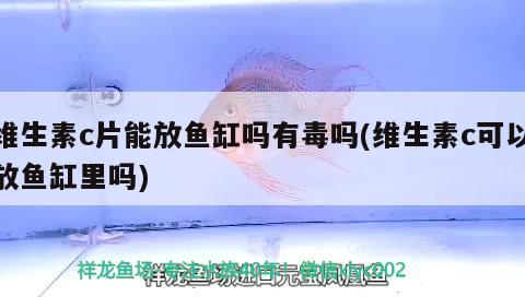 維生素c片能放魚缸嗎有毒嗎(維生素c可以放魚缸里嗎)