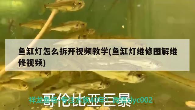 魚缸燈怎么拆開(kāi)視頻教學(xué)(魚缸燈維修圖解維修視頻) 水溫計(jì)