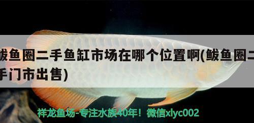 鲅魚圈二手魚缸市場在哪個(gè)位置啊(鲅魚圈二手門市出售)