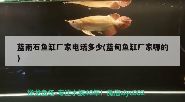 藍雨石魚缸廠家電話多少(藍甸魚缸廠家哪的)